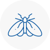 Moth Control Specialists In Chard